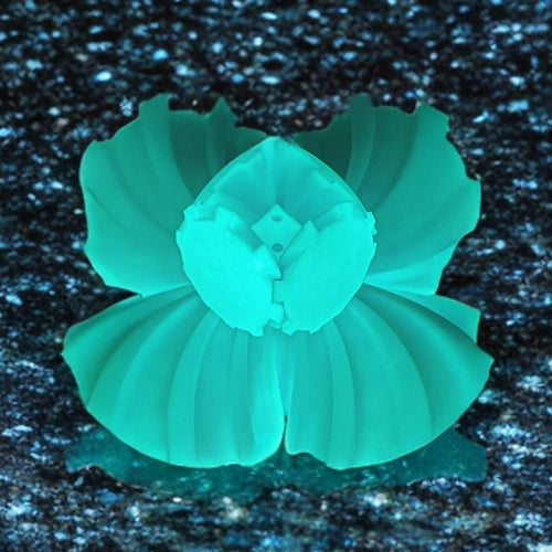 Wunderball – Neonblau